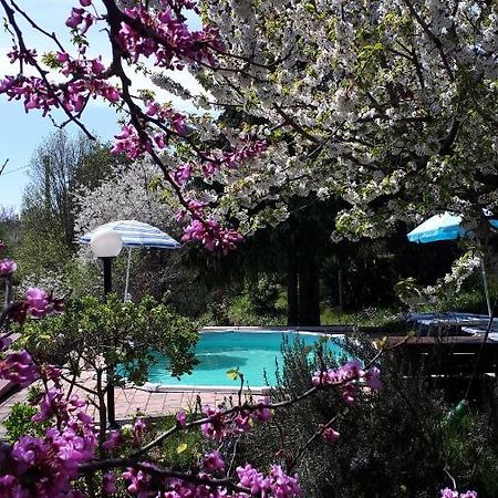 Il Ciliegio Del Pellegrino Apartment กุบบีโอ ภายนอก รูปภาพ