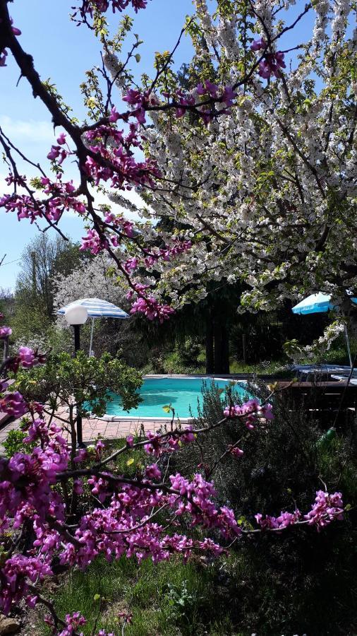 Il Ciliegio Del Pellegrino Apartment กุบบีโอ ภายนอก รูปภาพ