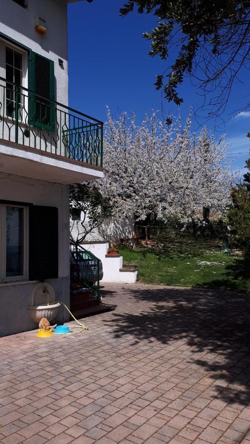 Il Ciliegio Del Pellegrino Apartment กุบบีโอ ภายนอก รูปภาพ